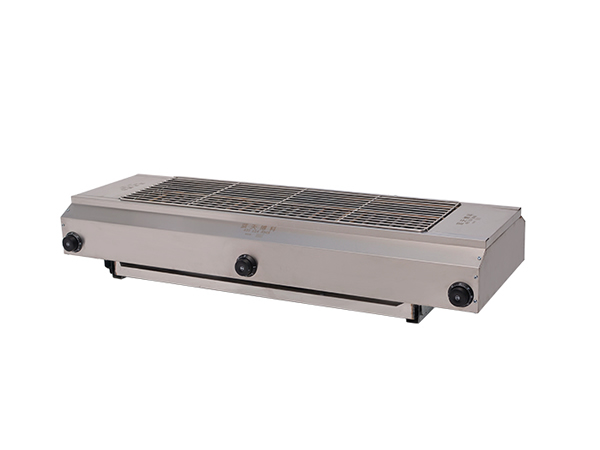 Ordinary electric oven