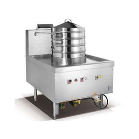 Single-end Steam Furnace